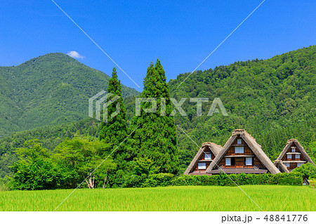 岐阜_真夏の白川郷_快晴 48841776