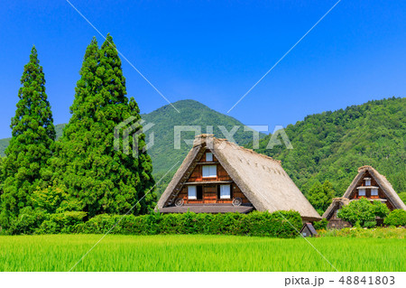 岐阜_真夏の白川郷_快晴 岐阜_真夏の白川郷_快晴 48841803