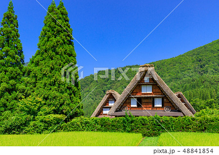 岐阜_真夏の白川郷_快晴 岐阜_真夏の白川郷_快晴 48841854