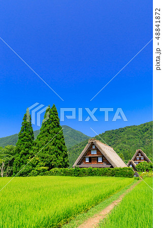 岐阜_真夏の白川郷_快晴 48841872