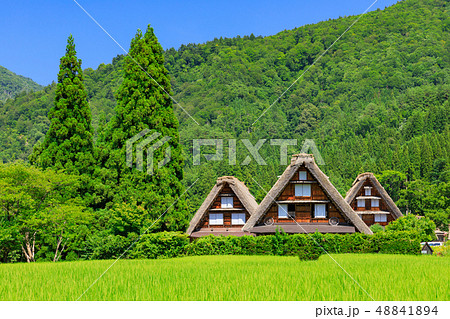 岐阜_真夏の白川郷_快晴 岐阜_真夏の白川郷_快晴 48841894