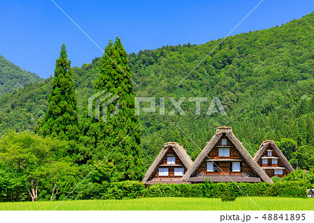 岐阜_真夏の白川郷_快晴 48841895