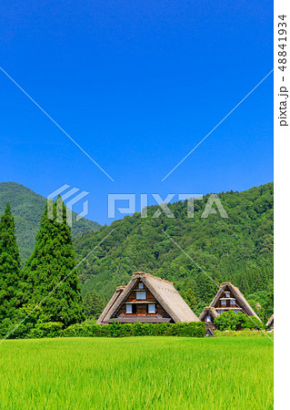 岐阜_真夏の白川郷_快晴 岐阜_真夏の白川郷_快晴 48841934