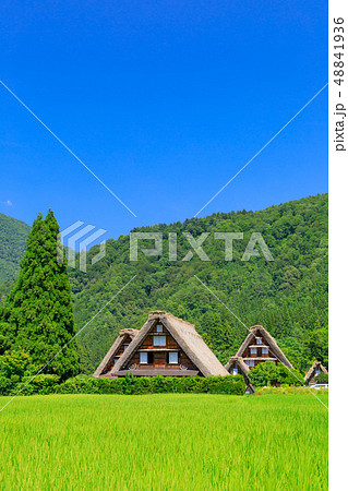 岐阜_真夏の白川郷_快晴 48841936