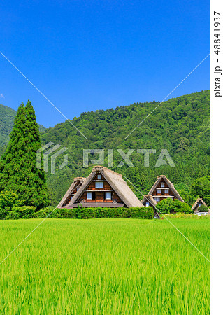 岐阜_真夏の白川郷_快晴 48841937