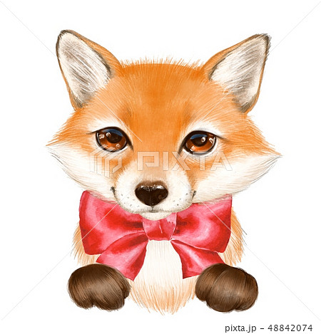 Cute Cartoon Fox With Red Bowのイラスト素材 4474