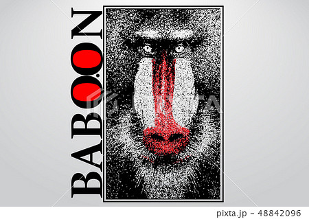 Silhouette of a baboon from particles. 48842096