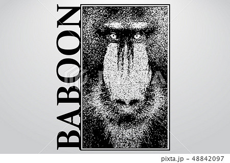 Silhouette of a baboon from particles. 48842097