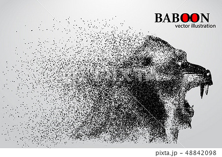 Silhouette of a baboon from particles. 48842098