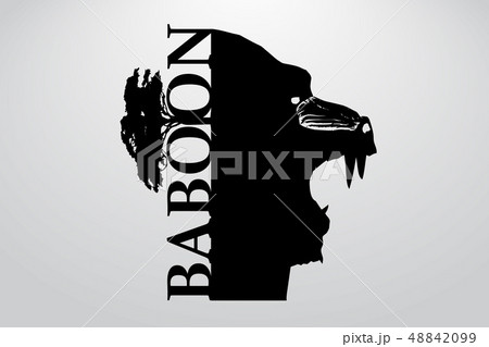 Silhouette of a baboon 48842099