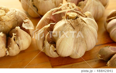 にんにく 48842841