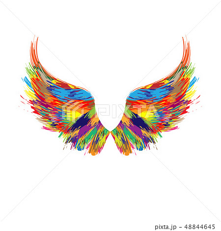 Color wings silhouette 48844645