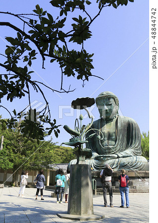 鎌倉大仏 鎌倉大仏 48844742