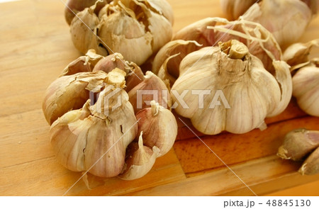 にんにく 48845130
