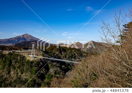 九重夢大吊橋　朝景 48845376