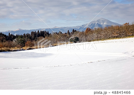 飯田高原　大石原 48845466