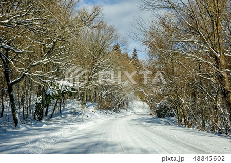 飯田高原 雪景色 飯田高原 雪景色 48845602