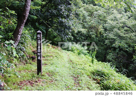 塩の道　千国街道の風情 48845846