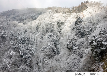 九酔渓 雪景色 九酔渓 雪景色 48846089