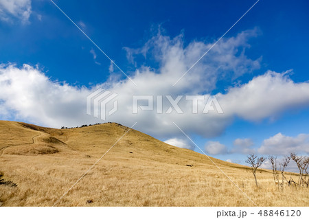 一目山 冬景 一目山 冬景 48846120