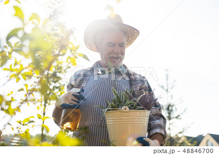 Pleasant retired gardener spending time in the garden 48846700