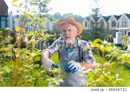 Pleasant involved retired man spending time outside 48846732