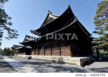 妙心寺 法堂 妙心寺 法堂 48846799