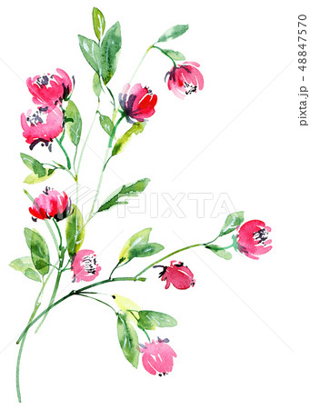 Blossom tree branch 48847570