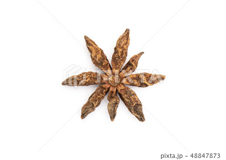 Dry brown star anise fruit isolated on white Dry brown star anise fruit isolated on white 48847873