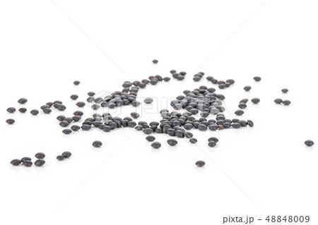 Black lentils beluga isolated on white Black lentils beluga isolated on white 48848009