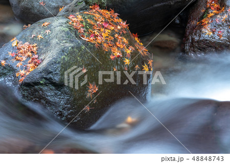 轟の滝@長崎県諫早市 轟の滝@長崎県諫早市 48848743