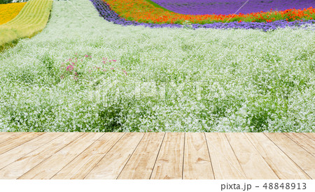 wood floor in beautiful lavender field at hill, 48848913