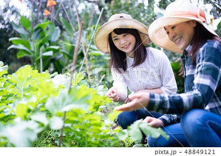 農業　体験　観光　旅行　野菜　生産者　収穫　農家 48849121