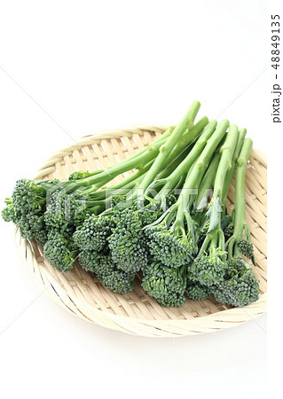 スティックセニョール 48849135