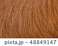 Brown Cow leather background 48849147