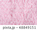 Close up pink fur texture 48849151
