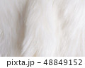 Close up white fur texture.NEF 48849152