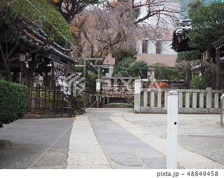 白山神社 48849458