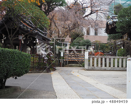 白山神社 48849459