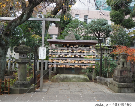 白山神社 48849460