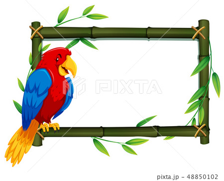 Parrot on bamboo frame 48850102