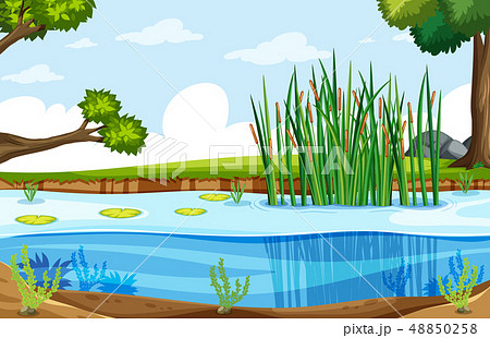 A Nature Swamp Landscapeのイラスト素材