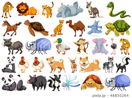 Set of animal character 48850264