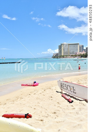 ハワイの休日 48850293