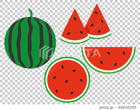 西瓜插圖集 48850295