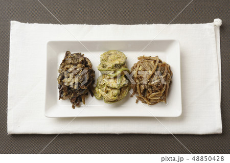 おかず 食べ物 フード 48850428