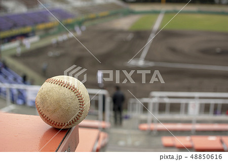 内野席からフィールドを見下ろすボール 内野席からフィールドを見下ろすボール 48850616