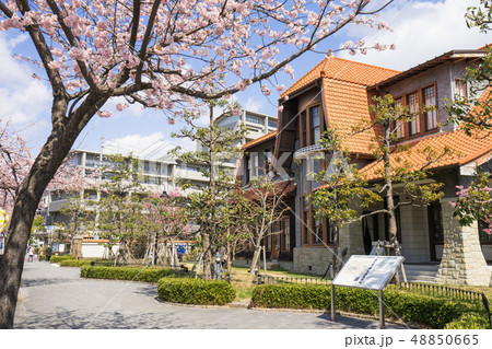 名古屋・東区・都市風景・街並み保存地区 文化のみち二葉館 川上貞奴邸と大寒桜 名古屋・東区・都市風景・街並み保存地区 文化のみち二葉館 川上貞奴邸と大寒桜 48850665
