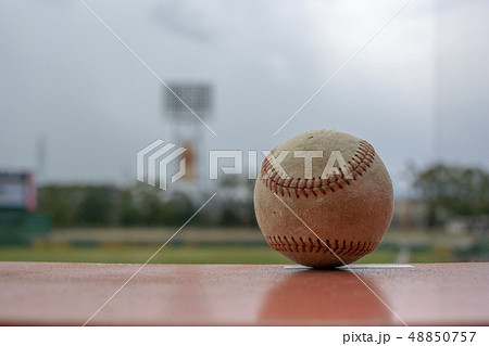 三塁側スタンドからライト方向を見るボール 48850757