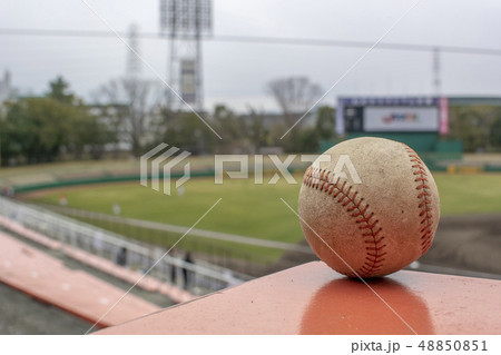 三塁側からバックスクリーン方向を見る 48850851